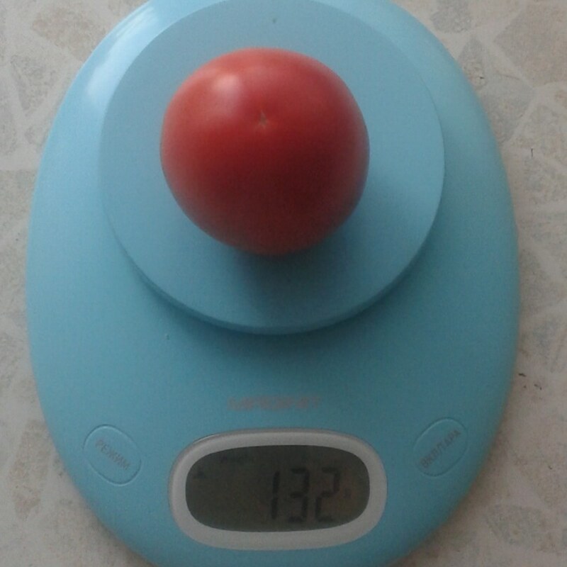 Томат Новичок  0,1гр/20